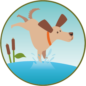 Bademoeglichkeit-Urlaub-mit-Hund