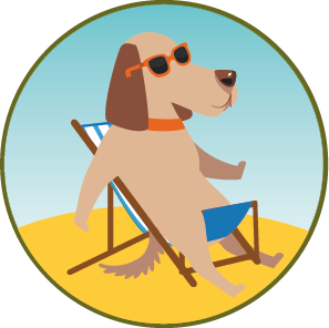 Urlaub mit Hund am Strand